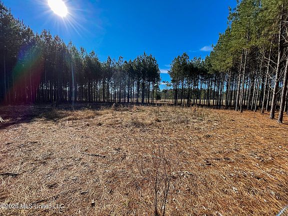 2nd image of 609 Barker Rd