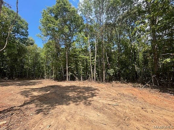 5th image of 1300 County Road 71