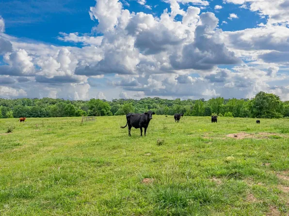 371 Highway 128, Bismarck, AR 71929