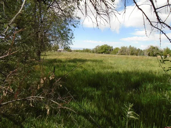 14172 Highway 65, Eckert, CO 81418