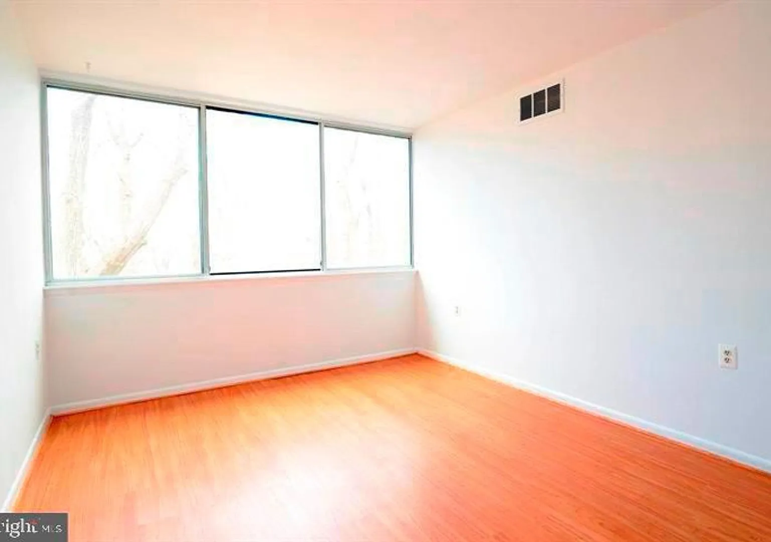 4345 Ivymount Ct — Photo 3