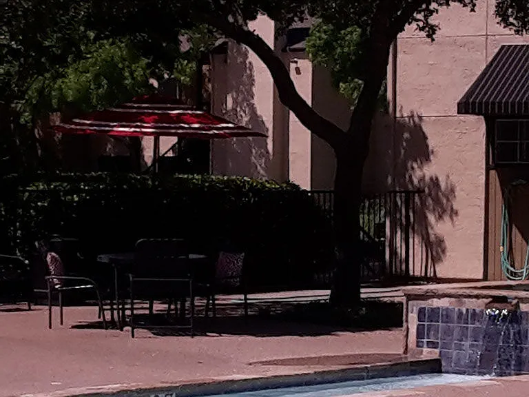 Waterford at the Park — Photo 30