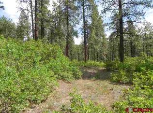 124 Monarch Crest Trl, Durango, CO 81301