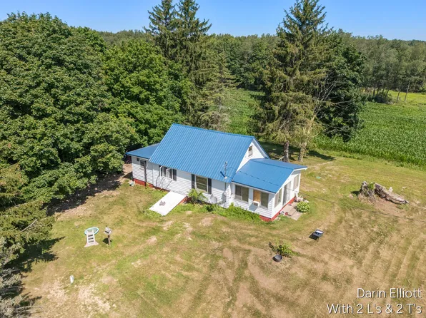 3703 N Cedar Lake Rd NE, Edmore, MI 48829