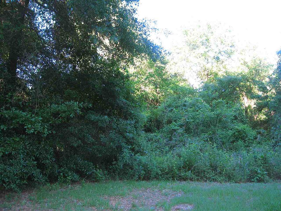 2nd image of 202 Sunnybrook Dr