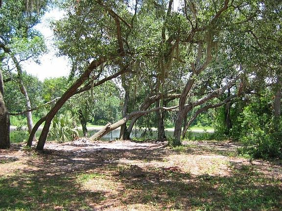 View From Front Porch