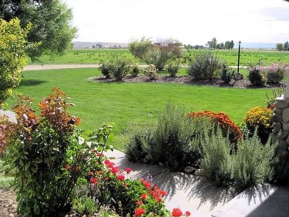 Natural Mature Landscaping