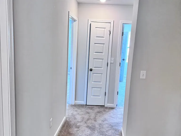 169 Fern Bridge Dr — Photo 20