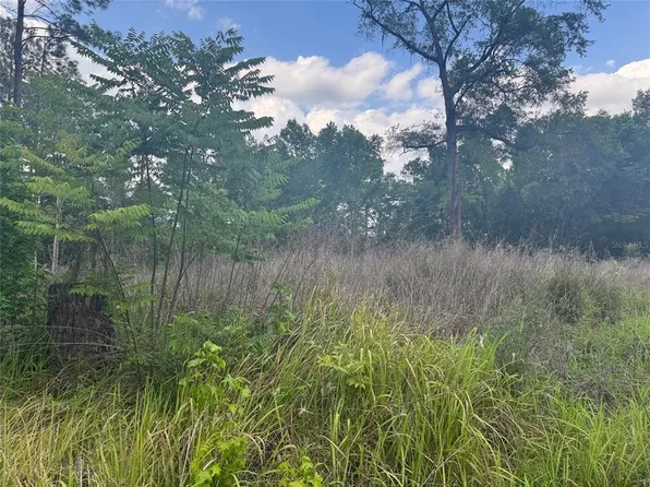 0 SE 37th Ct Lot 37, Belleview, FL 34420