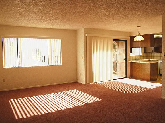 Large Apartment with spacious Living Room, Dining Room with