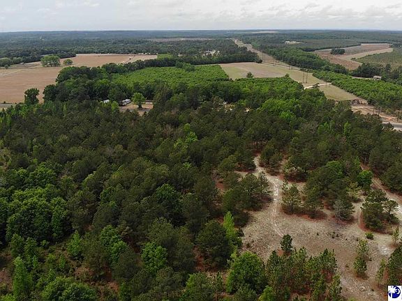 4th image of TRACT 2 Patrick Hwy