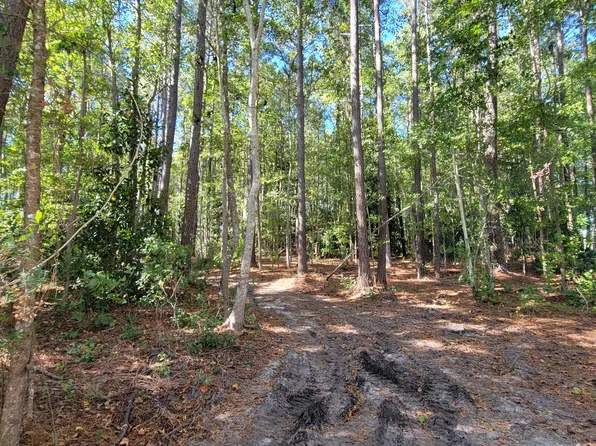2294 Dawson Cabin Road, Jacksonville, NC 28540