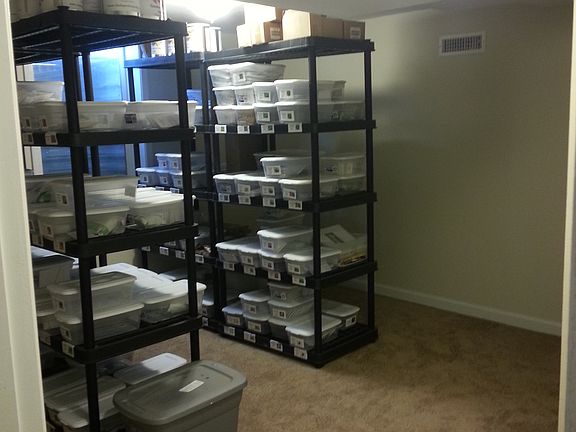 Downstairs bedroom #5