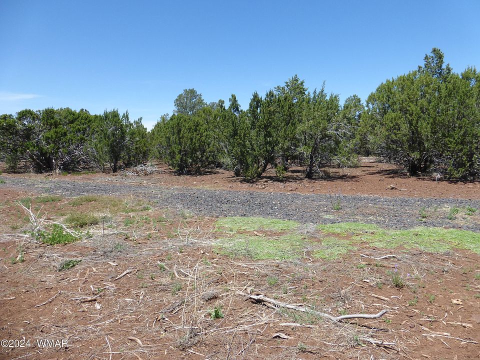 1st image of 202 County Road 3158 Lot 125