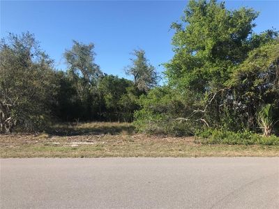 29096 Valencia Ave, Punta Gorda, FL, 33982