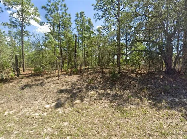 2551 W Sheila Dr Lot 13, Dunnellon, FL 34433