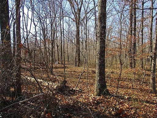 1st image of 0 Elm Ln Lot 8