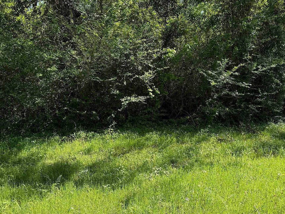 2nd image of LOT 7 Fm 839 S