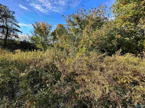 1.80 Center Grove Rd N, Somerville, AL 35670