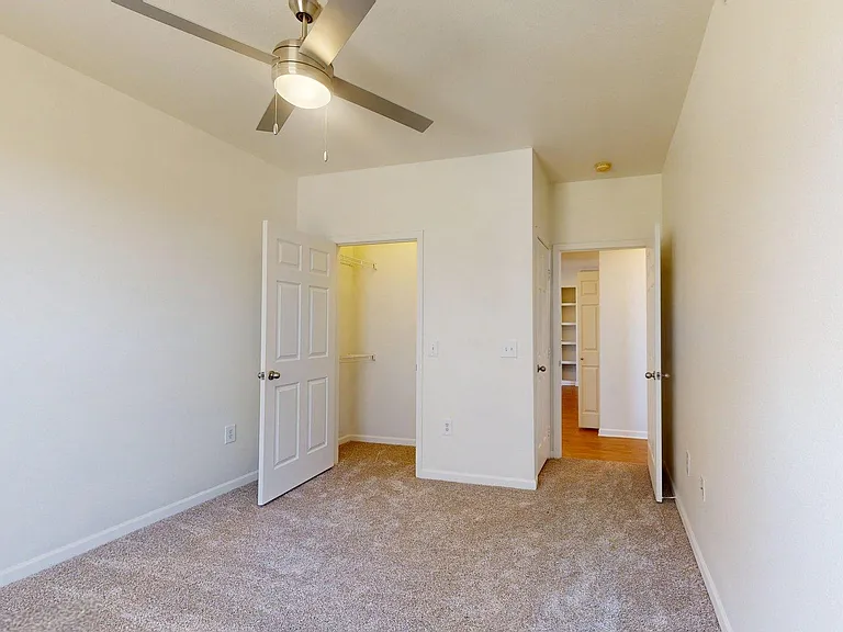 Spacious apartment bedroom with large closet and plush carpet flooring.