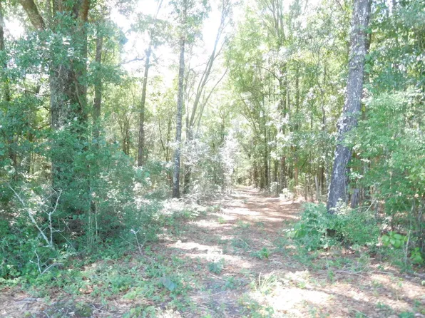 1875 Walter Ln, Ponce De Leon, FL 32455