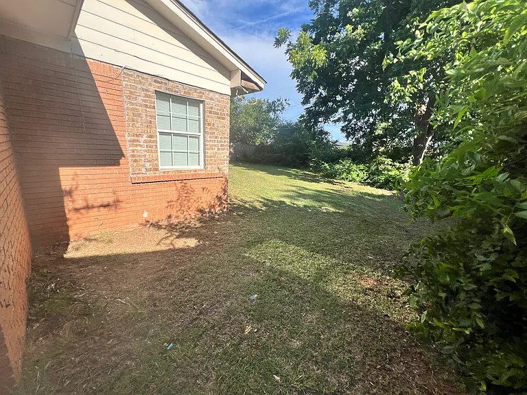 back yard