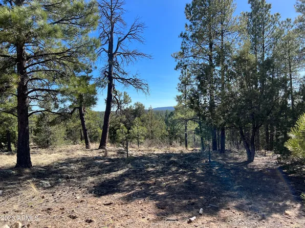 740 CEREMONY Lane #84, Happy Jack, AZ 86024