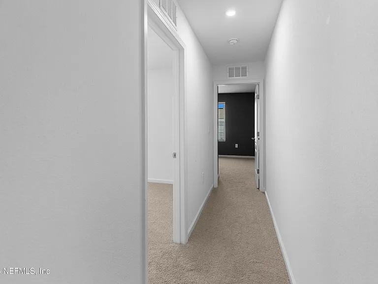 46 Wading Ibis Rd — Photo 23