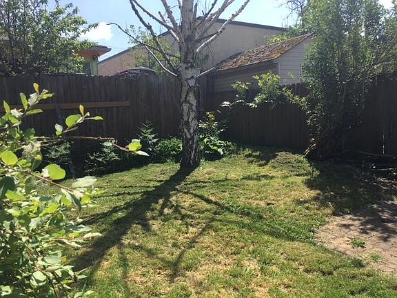 Spacious Backyard