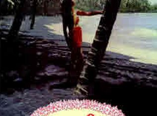 LOT 451, Pahoa, HI 96778