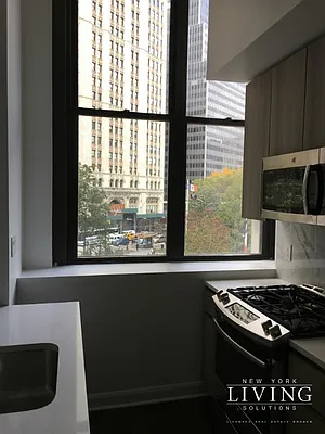 Rented by NY Living Solutions | media 22