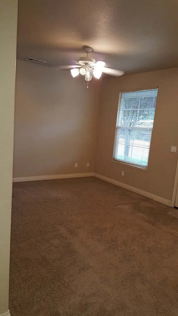 377 — Photo 2