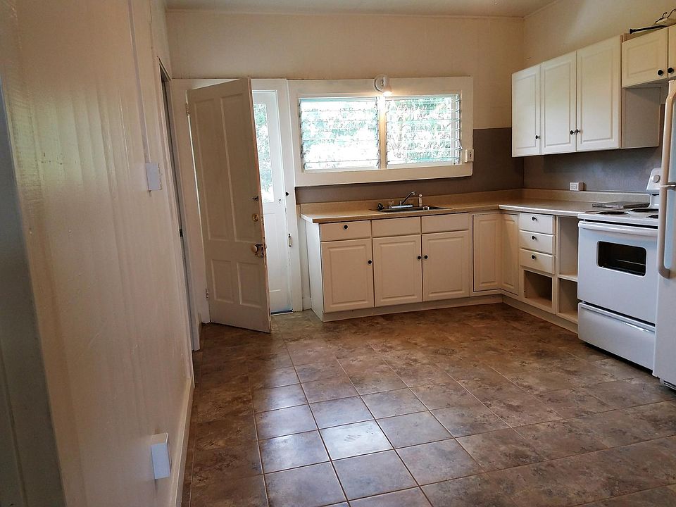 Large kitchen looks over back yard with avocado tree