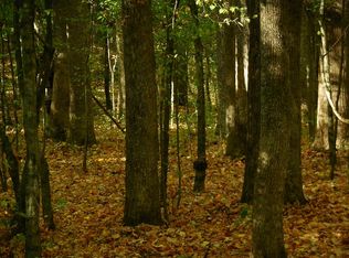 905 Buck Branch Rd, Mansfield, TN 38236