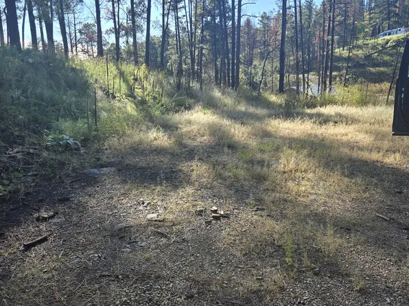 103 Wild Onion Run, Alto, NM 88312