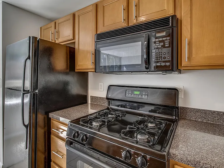 350 G St SW #N123 — Photo 13