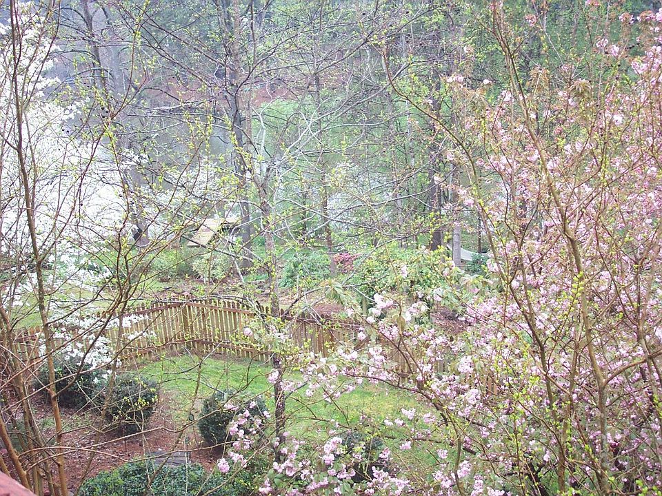 Back Yard - Spring