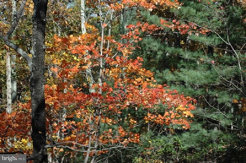 483 Red Oak Mountain Rd, Woodville, VA 22749 Zillow