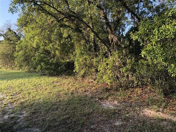Undertermined #17, Ocala, FL 34473