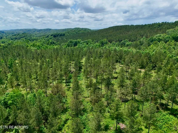 Co Road 214, Niota, TN 37826