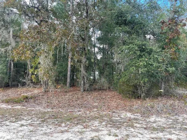 0 Pagoda Ave, Interlachen, FL 32148