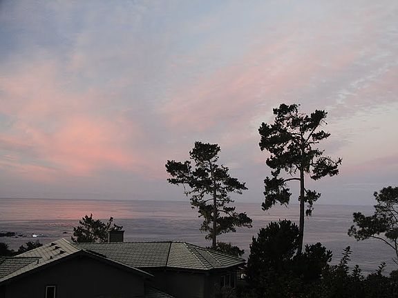 View from Living Room