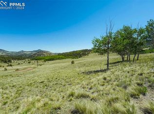 1354 Greta Valley Rd, Guffey, CO 80820