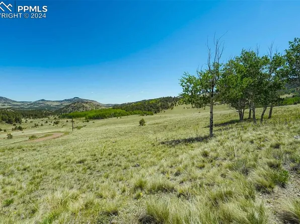 1354 Greta Valley Rd, Guffey, CO 80820