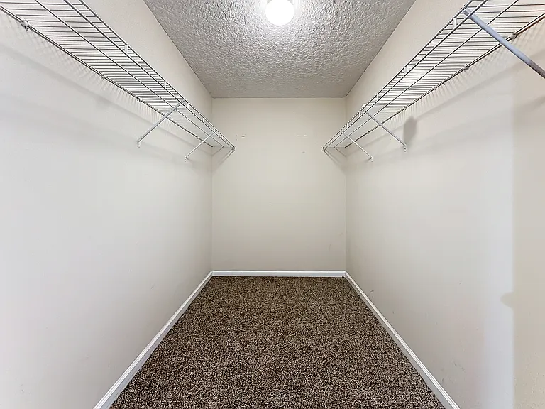 11383 Emilys Crossing Ct — Photo 35