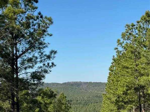 85 Timber Holler Trl Lot 528, Broken Bow, OK 74728