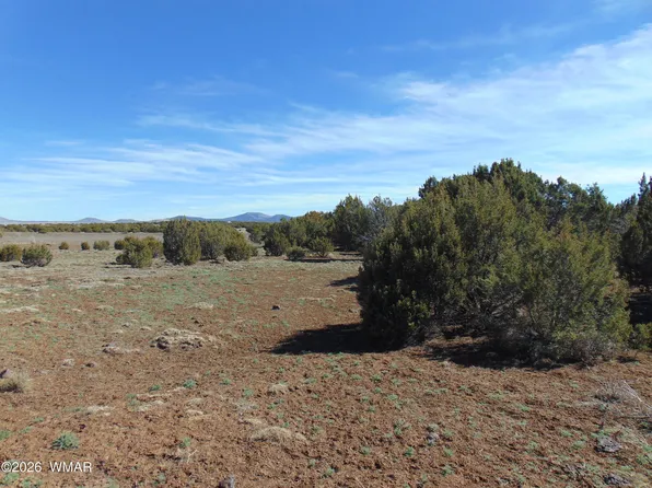 196 County Road 8206, Concho, AZ 85924