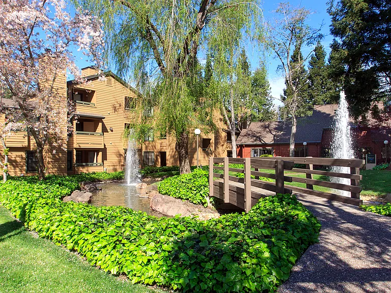 Shadow Creek Apartments — Photo 21