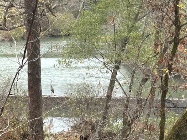 Josees Journey, Nashoba, OK 74558