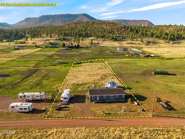 53 County Road 2092, Alpine, AZ 85920